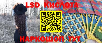 PSILOCYBIN Заводоуковск