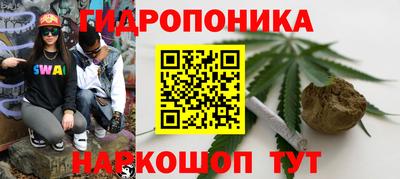 PSILOCYBIN Жуковский
