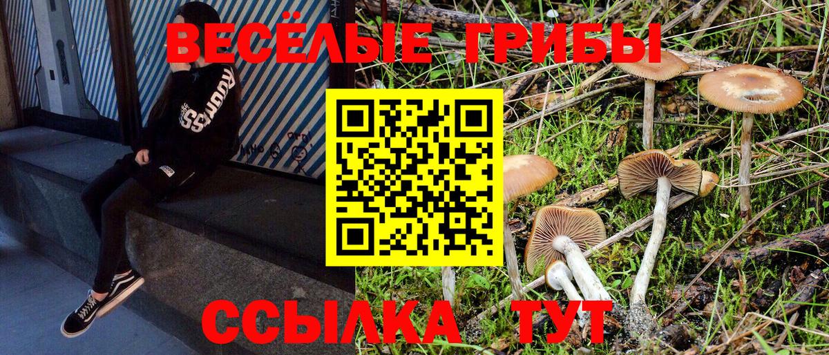 Галлюциногенные грибы GOLDEN TEACHER Берёзовский